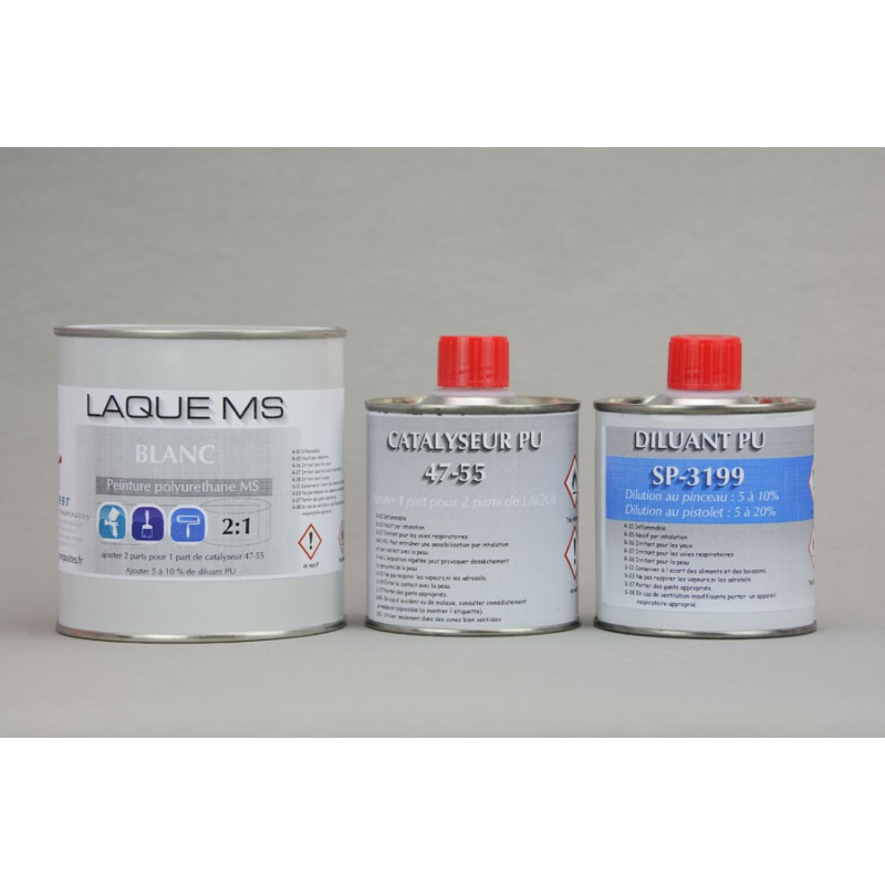 Kit De Peinture Blanc Auto Brillant Direct